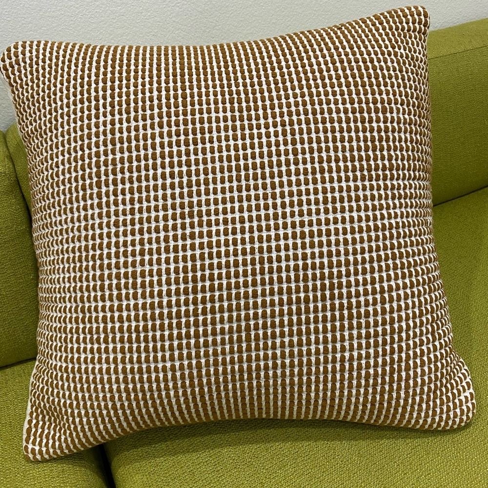 West Elm 20 inch square throw pillow